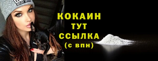 СК Аркадак